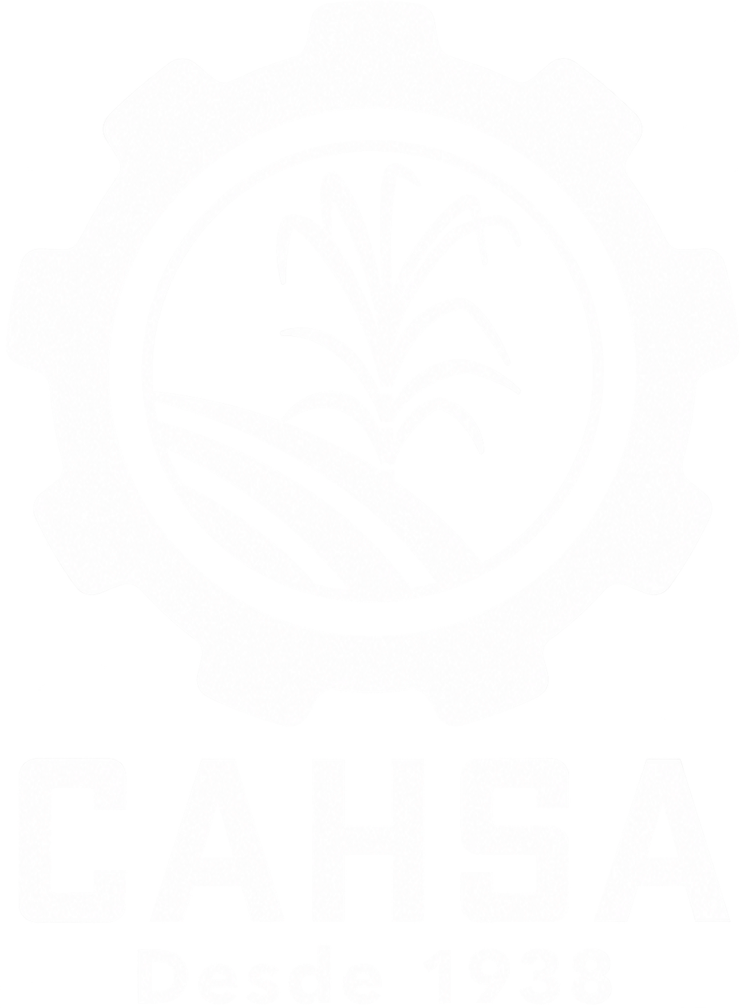 Logo de CAHSA